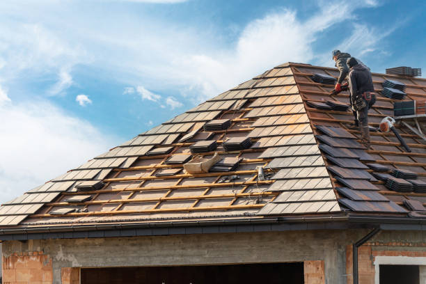 Best Roof Ventilation Installation  in Elmendorf, TX