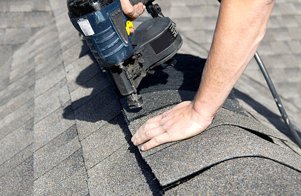 Best Roof Moss and Algae Removal  in Elmendorf, TX